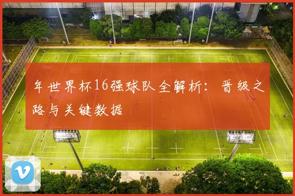 年世界杯16强球队全解析：晋级之路与关键数据